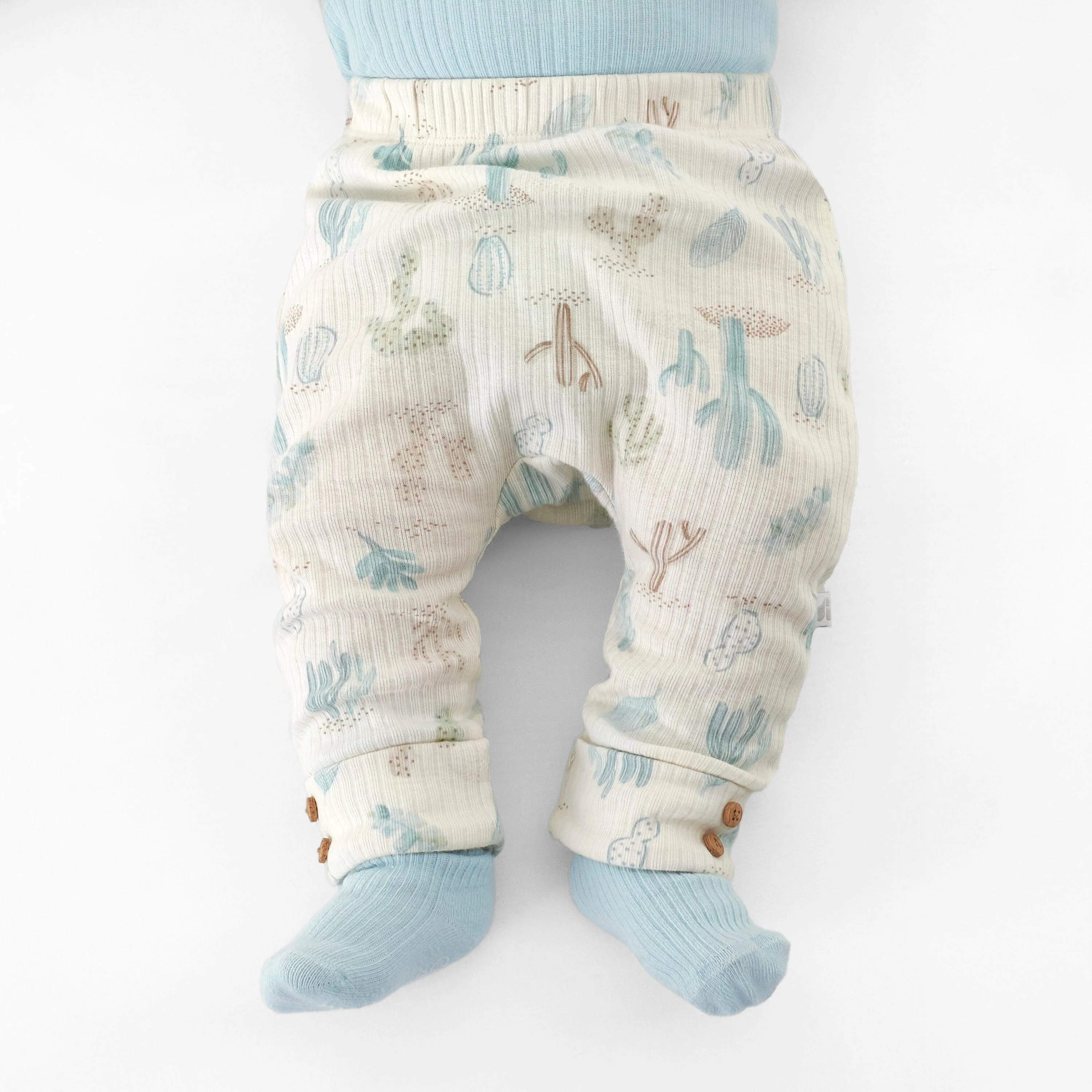 2-Pack Baby Boys Desert Cactus Pants