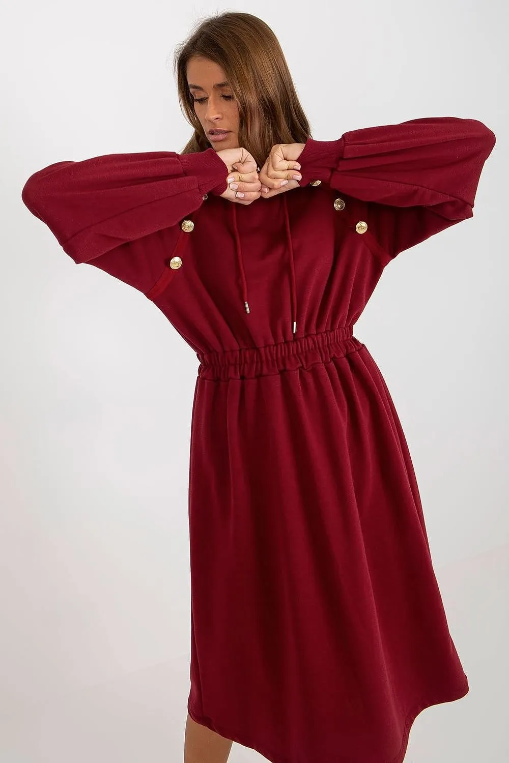 Chic Comfort Hoodie Dress