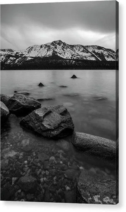 Monochromatic Dream By Brad Scott - Acrylic Print