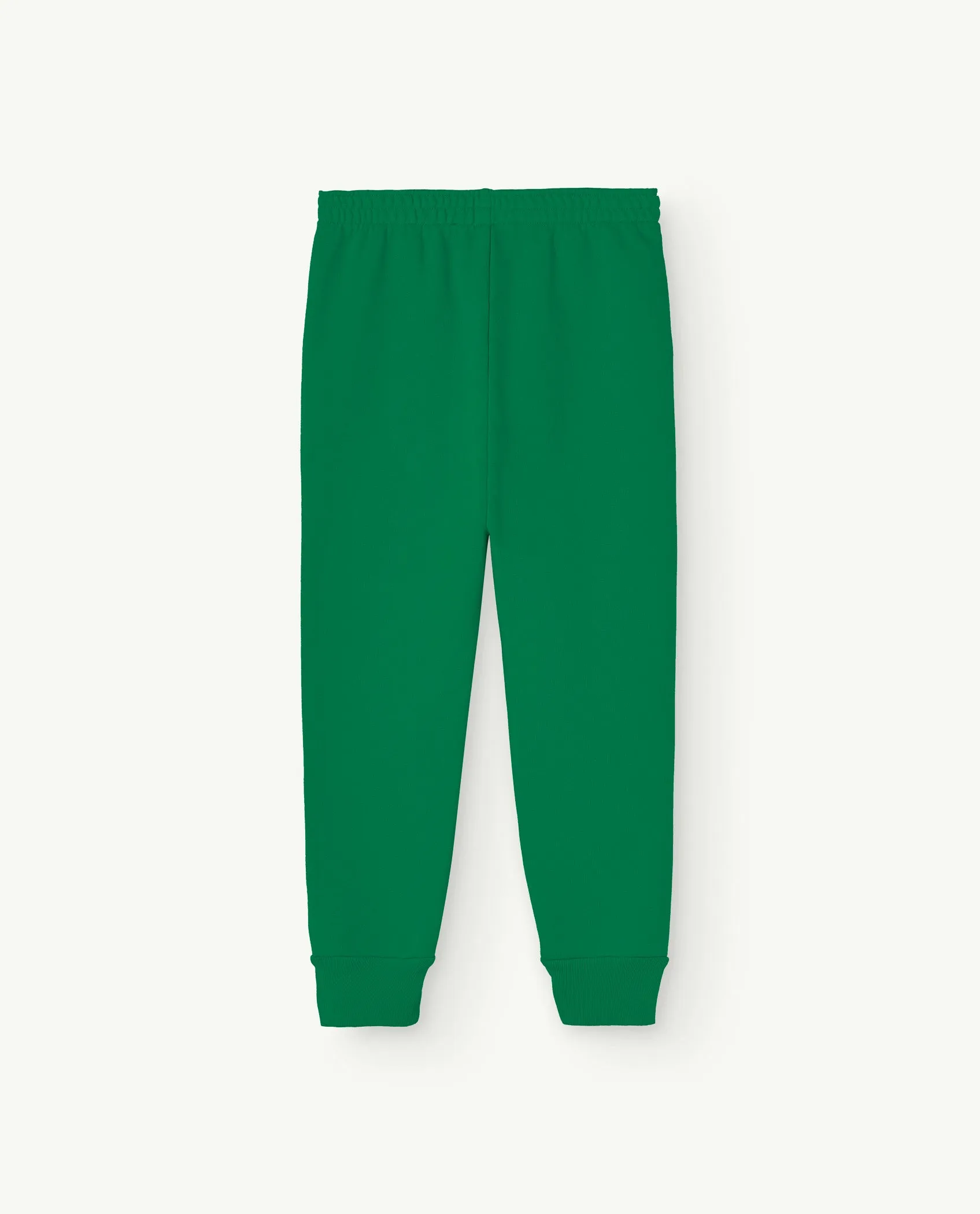 the animals observatory kids draco pants - green